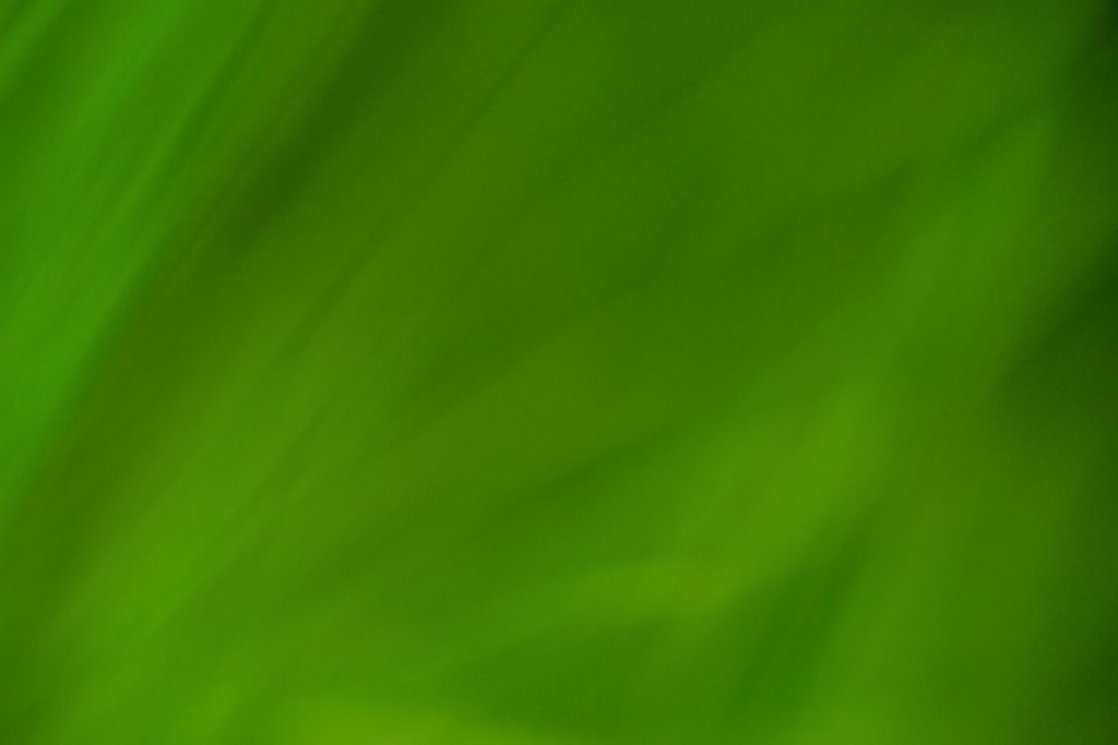 Our Working Yates Custom Lawn Sprinklers