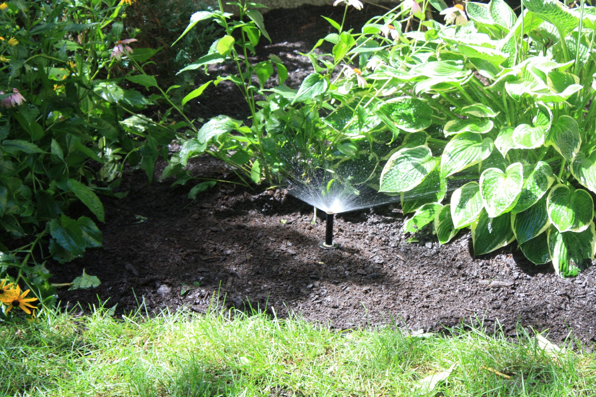 Installation Yates Custom Lawn Sprinklers