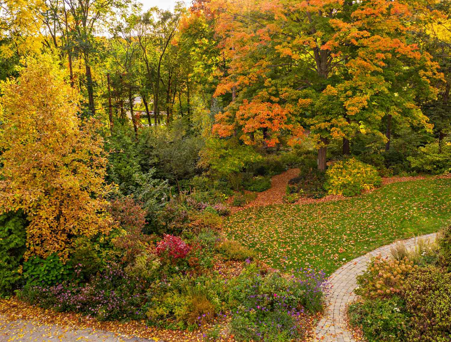 Perennial garden with trees and shrubs displaying fall colours