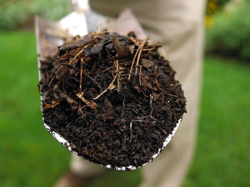 a man is holding a shovel full of compost